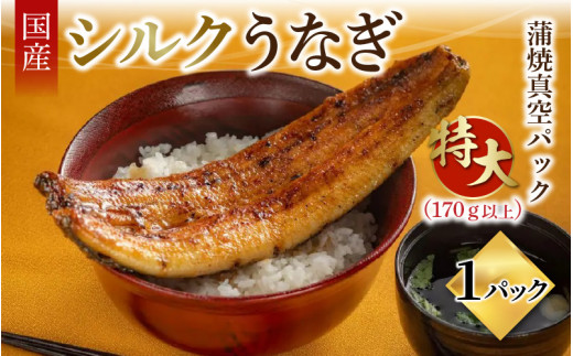 シルクうなぎ蒲焼真空パック 特大（170ｇ以上）× １パック【うなぎ 国産 1尾 うなぎ蒲焼 ギフト 冷凍 鰻 ウナギ 蒲焼 蒲焼き うなぎの蒲焼き やなのうなぎ 観光荘】