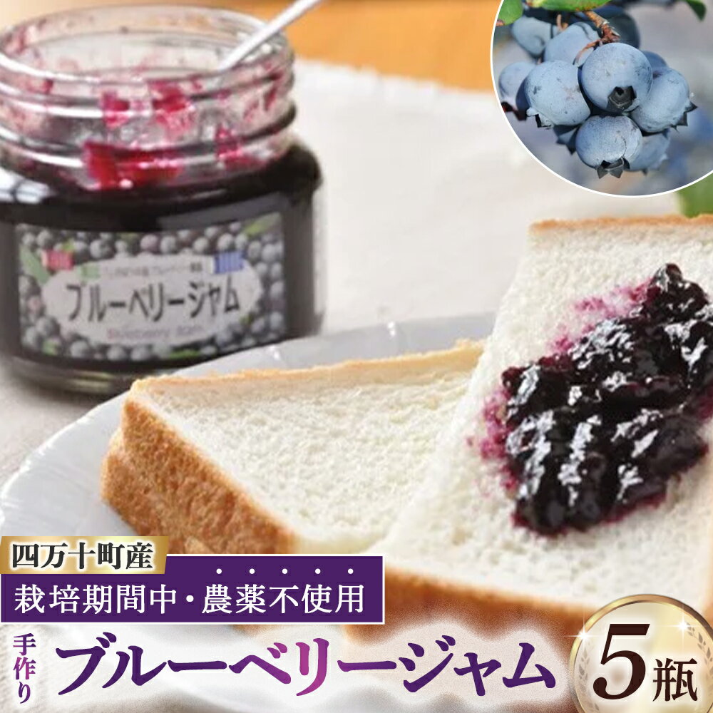 【ふるさと納税】【2025年産／栽培期間中 農薬不使用ブルーベリー使用】手づくりブルーベリージャム（170g×5個）／ヨーグルト ジャムトースト パン 朝食 贈り物 お取り寄せ 無農薬 四万十 しまんと 高知 こいのぼりの里ブルーベリー農園 Qdr-92