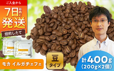 モカコーヒー(豆)　イルガチェフェ　200g×2 / 珈琲 コーヒー モカ / Coffee SAKURA[BBAB128]