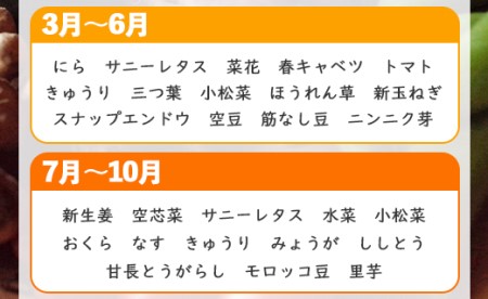 定期便6回コース 高知県香南市産 旬のお野菜詰合せ(10～13品目) - やさい おまかせ セット 土佐野菜 新鮮 Wpr-0009