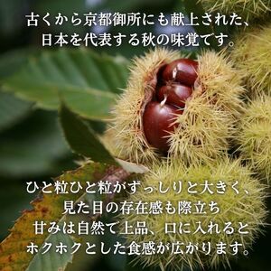 【京都の秋の味覚 丹波栗】 Lサイズ 1kg  丹波栗