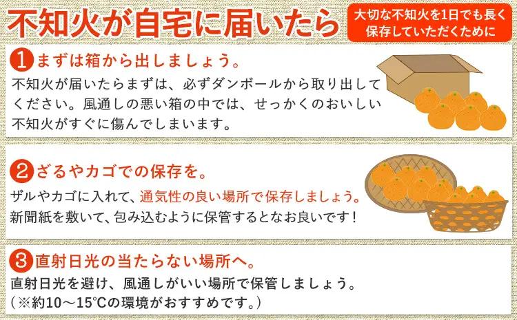 訳あり しらぬい 約10kg しらぬい