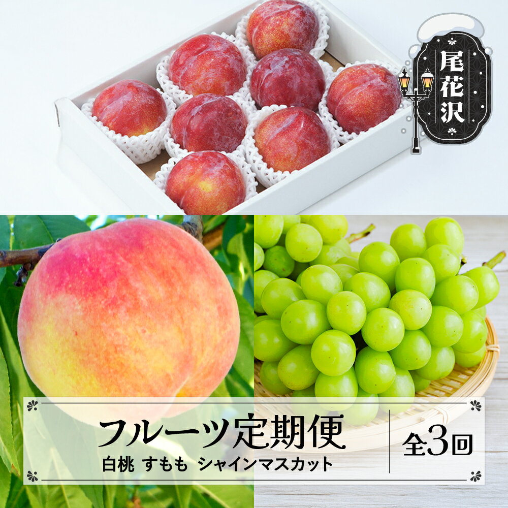 【ふるさと納税】フルーツ定期便 全3回 白桃 すもも シャインマスカット 秀品 2026年8月~発送開始 李 ぶどう もも 桃 ブドウ 葡萄 山形 東北 国産 くだもの フルーツ 果樹 定期便 お取り寄せ 2026年産 令和8年産 送料無料 sb-fthps3-b※沖縄・離島への配送不可