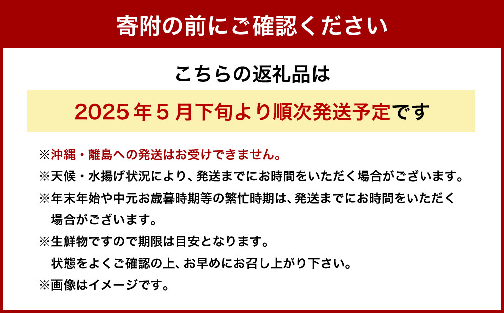 北海道小樽市 塩水キタムラサキ ウニ 100g×1パック 【漁師直送】