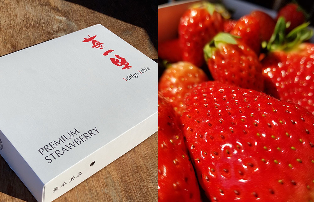 熊本県産 いちご （恋みのり）4パック 約1000g