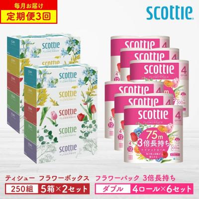 ふるさと納税 八代市 【毎月定期便】【スコッティ】 ティシュー 5箱P×2+トイレット 4ロール(ダブル)P×6全3回