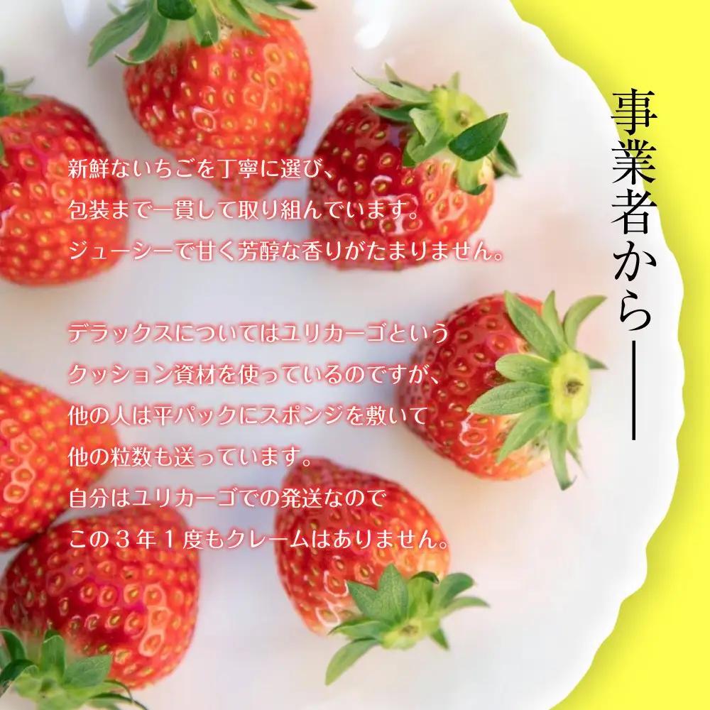 【3月発送】いちご とちおとめ （デラックス） 2パック