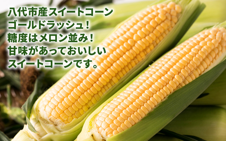 【先行予約】 熊本県八代市産 スイートコーン ゴールドラッシュ 4kg とうもろこし 朝採り 高糖度 【2025年5月上旬より順次発送】