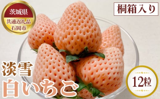 No.641 【先行予約】淡雪　白いちご　桐箱入り　12粒【茨城県共通返礼品 石岡市】 ／ 果物 苺 イチゴ 茨城県