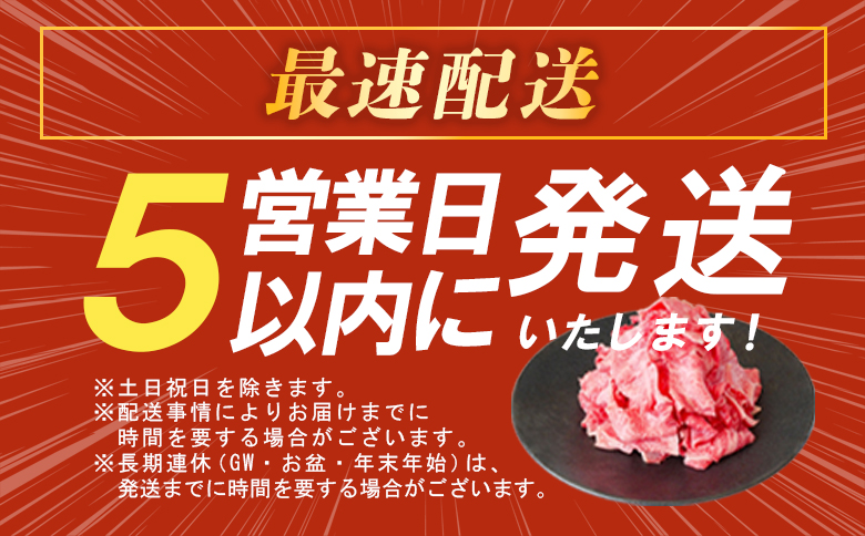 飛騨牛 もも カタ 600g すき焼き しゃぶしゃぶ A5 A4 国産 牛 冷凍 和牛 牛肉 かた カタロース 肩ロース 肩 もも肉 モモ かた 赤身 ギフト 贈答 にく お肉 肉 東白川村 岐阜 飛