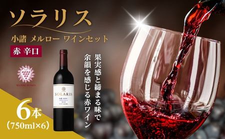 ワイン 赤 ソラリス 小諸 メルロー 750ml×6本 ワイン 
