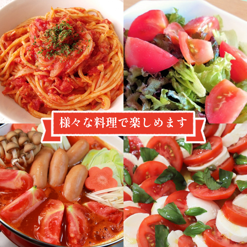 【2026年6月下旬頃から順次発送】moto farm トマト 2kg  甘みと酸味の絶妙なバランスの麗月トマト 赤採れ  | トマト とまと 野菜 産地直送 数量限定 完熟 赤採れ とまと2kg 愛