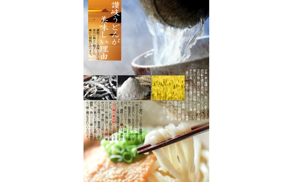 冷凍さぬきうどん 麵処 春奈 特製オリーブ牛肉うどん6人前