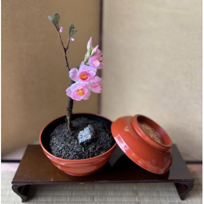 ふるさと納税 掛川市 【春 桜】四季を彩る創作草もの盆栽(工芸品)〜工房 椿