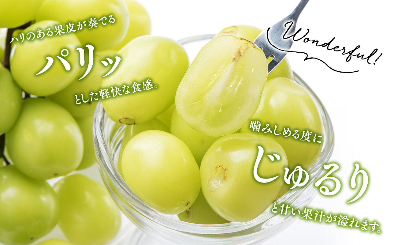 2026年産先行受付　訳あり 北国の冬シャインマスカット2房【原田農園】[hi-0068-001]シャインマスカット 訳あり 家庭用 ぶどう 産地直送 高糖度 平川市