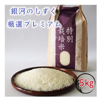 ふるさと納税 花巻市 【令和8年産先行予約】銀河のしずく 厳選プレミアム 5キロ(白米) 特別栽培米