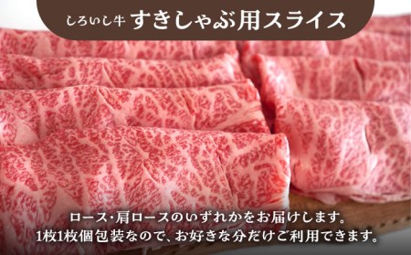 【牧場直送】【6回定期便】しろいし牛 家族向け お楽しみ 定期便（プレミアムコース）【有限会社佐賀セントラル牧場】[IAH213]