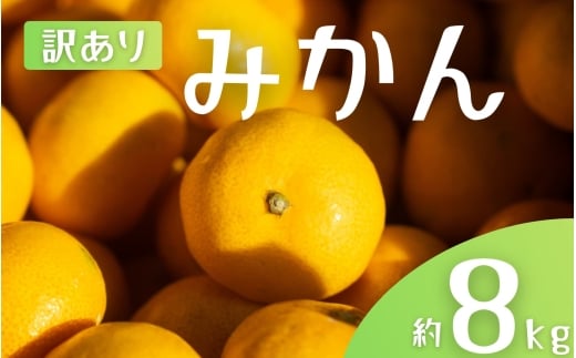 【訳あり】 森本農園の手選別 みかん 約8kg 和歌山県産 2S~2Lサイズ混合 【2025年11月上旬～2026年2月中旬ごろに順次発送】【mrmt043】 