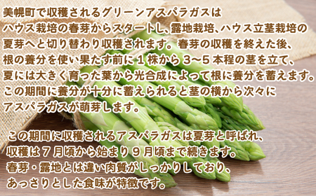 [先行受付]2025年産 ハウスアスパラ(夏芽) L サイズ 約1kg【配送不可地域：離島】【 ふるさと納税 人気 おすすめ ランキング アスパラ アスパラガス ハウス栽培 ハウス 野菜 ハウスアスパ