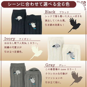 おはなし靴下 ギフトボックス ペンギン レディース グレー