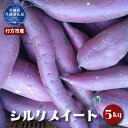 【ふるさと納税】さつまいも シルクスイート 5kg なめらか食感 甘い 焼き芋 ねっとり しっとり 甘みが強い スイーツ 料理 てんぷら スイートポテト お菓子作り 茨城県共通返礼品・行方市産 送料無料