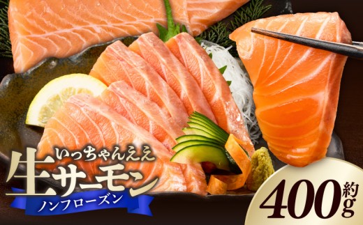 
                  生サーモン ノンフローズン 約 400g アトランティックサーモン 鮭 手作業 ノルウェー産 刺身 寿司 丼 サラダ 魚 海鮮 グルメ 冷蔵 お取り寄せ 和歌山県 湯浅町 送料無料 _FJ1000
                