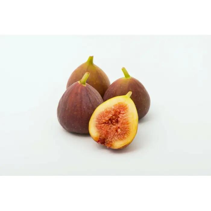 〈2025年8月10日～10月20日発送〉博多とよみつひめ 約280g×4 | フルーツ 果物 くだもの 食品 人気 おすすめ 送料無料