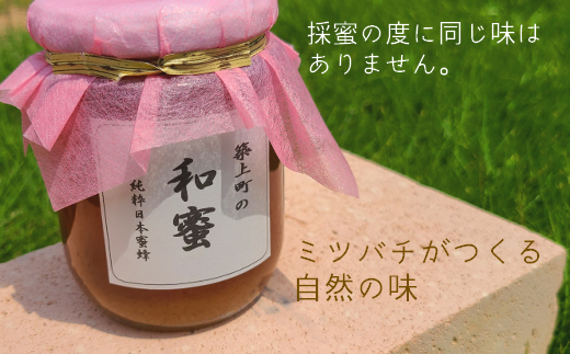 【福岡県築上町産】上村さん家の はちみつ 「 築上町の 和蜜 」300g《築上町》【上村　忍】 日本 蜜蜂 にほん みつばち [ABBX001] 11000円  11000円 