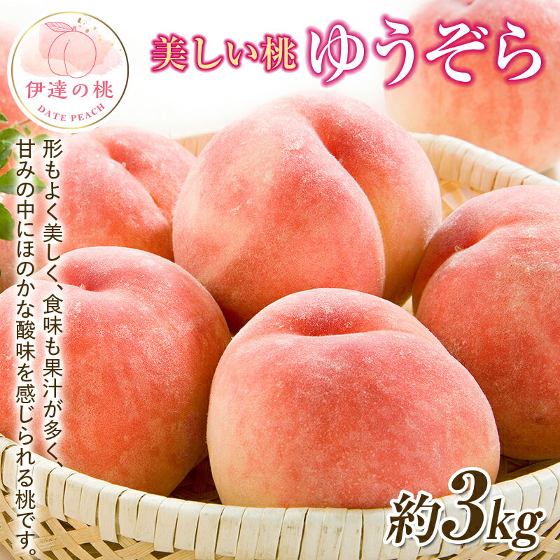 【ふるさと納税】【2026年出荷分先行予約】福島県産 ゆうぞら 約3kg (約10玉) 一般社団法人つきだて振興公社 小さめ 固め 伊達の桃 桃 フルーツ 果物 もも モモ momo F20C-642