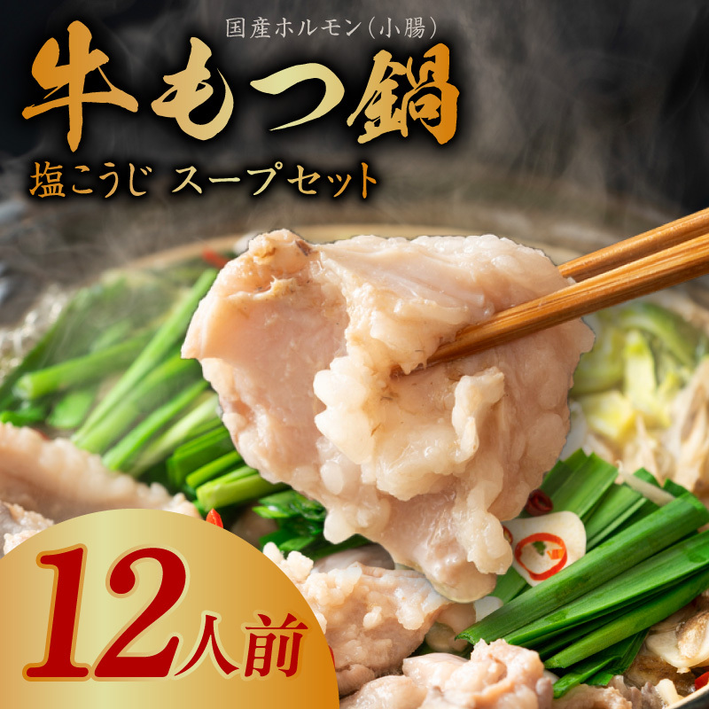 牛もつ鍋セット 12人前【国産 牛肉 ホルモン 塩こうじ スープセット モツ 鍋 高評価 冷凍 鍋セット 簡単調理】 G4697