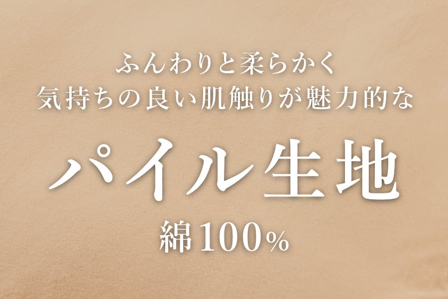 Sybilla(シビラ)刺繍入りパイルプレーン　掛け布団カバー　枕カバーセット　ナチュラル