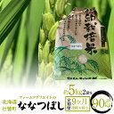 【ふるさと納税】【新米】令和6年産米 ファームアグリエイトのななつぼし　約5kg×2袋を9ヶ月連続お届け 【 おすすめ ランキング 北海道 定期便 新米 米 白米 特Aランク ななつぼし 甘い ギフト セット 北海道 壮瞥町 送料無料 】 SBTB008