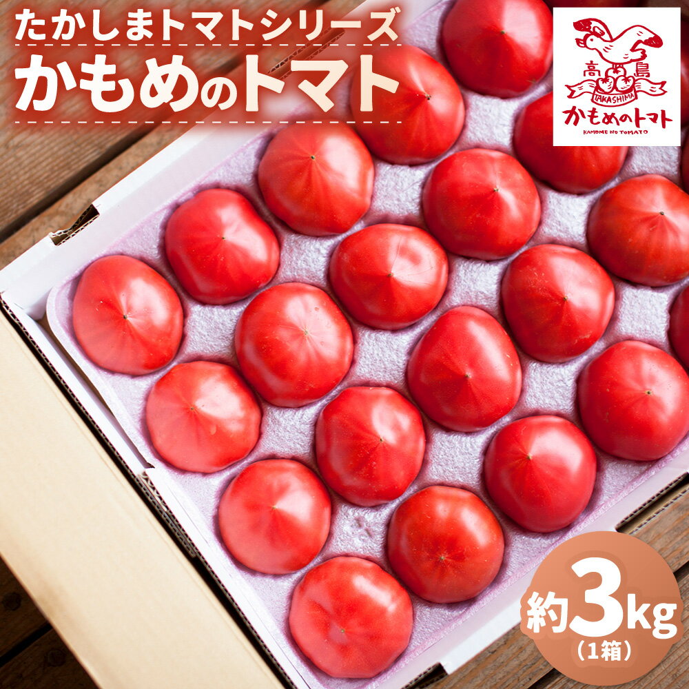 【ふるさと納税】たかしまトマトシリーズ ｢かもめのトマト｣ 【糖度6度以上】 約3kg箱×1 トマト とまと 野菜 やさい 高糖度 サラダ 料理 ピューレ ジャム ケチャップ ジュース トマトジュース 常温 長崎県 長崎市 送料無料 【2026年1月下旬～4月下旬発送予定】