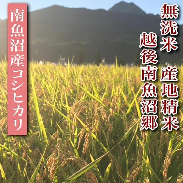 【令和7年産】【定期便】無洗米5Kg×全6回　越後南魚沼郷  南魚沼産コシヒカリ