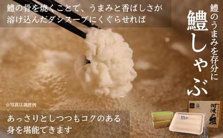 ハモ 鱧 しゃぶしゃぶ 500g 鍋セット 切り身 スープ付き 冷凍 【鱧鍋 ハモ鍋 鱧料理 ハモ料理 冷凍鱧 冷凍ハモ 鱧しゃぶ ハモしゃぶ 肉厚鱧 肉厚ハモ】