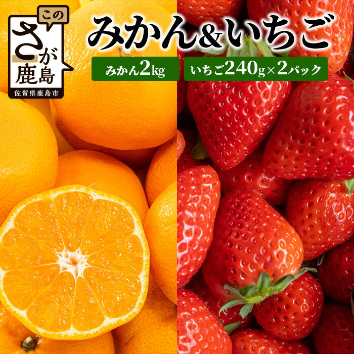 【ふるさと納税】【目利きのプロが厳選】フルーツセット 佐賀県産 みかん 約2kg & イチゴ 2パック 《2026年1月〜2月発送予定》| ふるさと納税 いちご 苺 みかん ミカン フルーツ 果物 食べ比べ 詰め合わせ お取り寄せ ギフト プレゼント 贈答 ふるさと 人気 送料無料 B-668