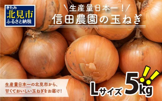 
【予約】日本一の玉ねぎ生産地！信田農園の玉ねぎ 5kg Lサイズ ( 信田農園 野菜 玉ねぎ 玉葱 タマネギ たまねぎ 甘い 5キロ オニオン ふるさと納税 )【124-0002-2024】
