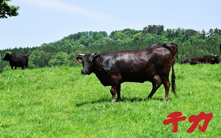 松阪牛焼肉500g(ロース・バラ・赤身モモ)タレ付き 牛肉 焼肉【3-7】