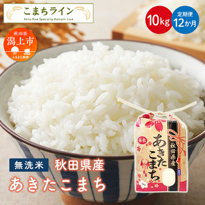 【定期便12回】新米 令和6年産 秋田県産 あきたこまち【無洗米】10kg(5kg×2袋)×12か月【こまちライン】