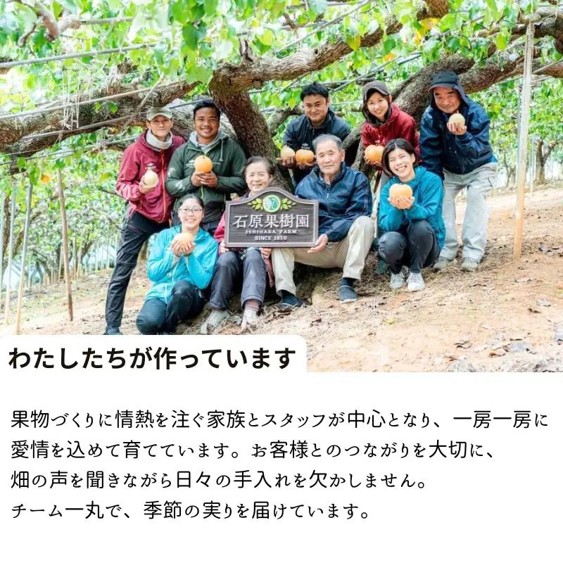 あたご梨 2玉 化粧 贈答箱 赤秀 約1.2kg玉【先行予約 2026年11月中旬から順次発送】