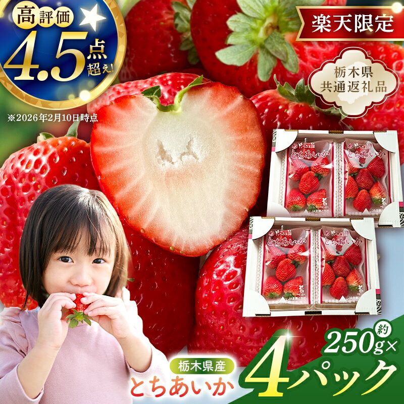 【ふるさと納税】 栃木県産　とちあいか約250g×4パック【栃木県共通返礼品】 栃木県 那須塩原市 いちご とちあいか 国産 オリジナル 品種 甘い 香り あまい 旬 完熟 産地直送 果汁 ブランド フルーツ 高級 けずり イチゴ 果物 1000g お取り寄せ 栃木 那須 塩原市