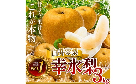 【常温便】幸水　3kg　6～10玉