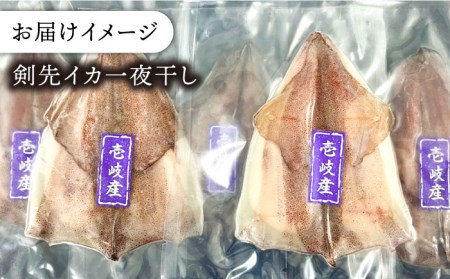 ケンサキイカ 刺身 & 一夜干し セット 剣先イカ 烏賊 《壱岐市》 【一支國屋】 おつまみ フィレ  [JCC009] 17000 17000円 イカ いか 剣先イカ 剣先 一夜干し 干し セット 