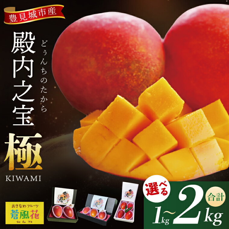 【ふるさと納税】【選べる内容量】 【2026年7月より順次発送】豊見城産マンゴー『殿内之宝(どぅんちのたから)・極』｜マンゴー フルーツ 果物 くだもの 先行予約 完熟マンゴー 沖縄フルーツ おきなわ 沖縄 沖縄県 豊見城市(DR001)
