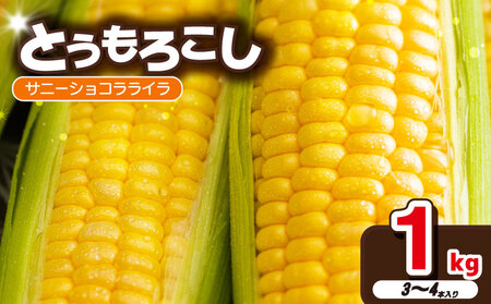 訳あり とうもろこし 1kg サニーショコラライラ 【 とうもろこし 】