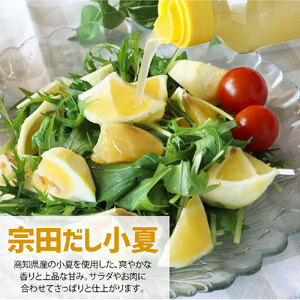 無添加 宗田だしドレッシング190ml×６本セット（にんじん・小夏・和風風味）×2本 調味料 サラダドレッシング 宗田 ノンオイル ドレッシング 高知県 【R01041】