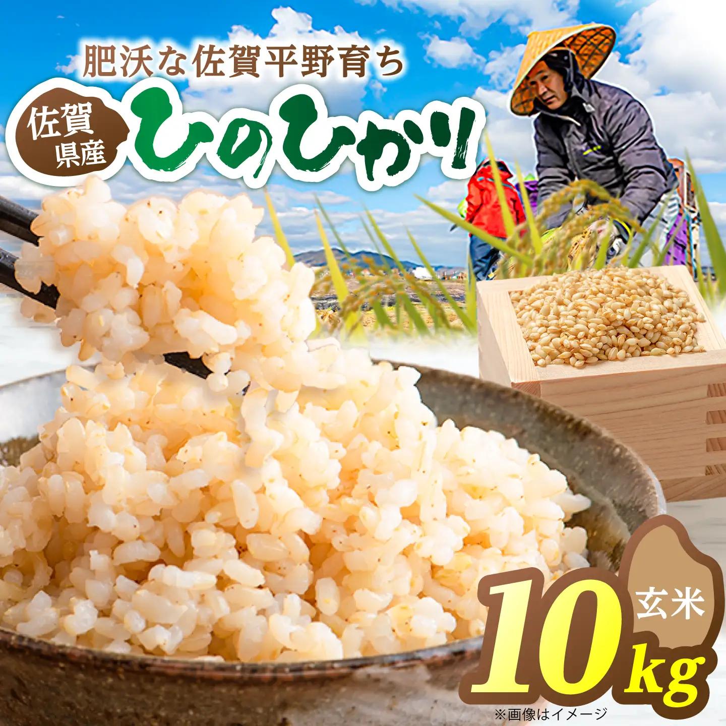 【先行予約 2026年10月～発送】ヒノヒカリ 玄米 10kg 【片渕農園】令和8年産 新米 [IDG007]