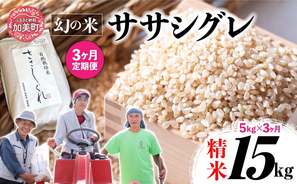 【新米予約】《 希少品種米 》 米 令和8年 宮城県産 ササシグレ ( 栽培期間中農薬・肥料不使用 ) 【 3回 定期便 】 精米 白米 5kg × 3ヶ月 （ 合計 15kg ）｜ 宮城県 加美町 無農薬 お米 こめ コメ ささしぐれ ササニシキ の 父 ｜ nt-ss05-t3-r8 | nt-ss05-t3-r8