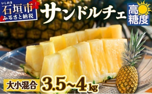 【訳あり】石垣島産 サンドルチェパイン 約3.5～4kg 《2026年7月中旬以降発送》【甘さ最高パインの「訳あり」の大小混合セット】【規格外】SI-28