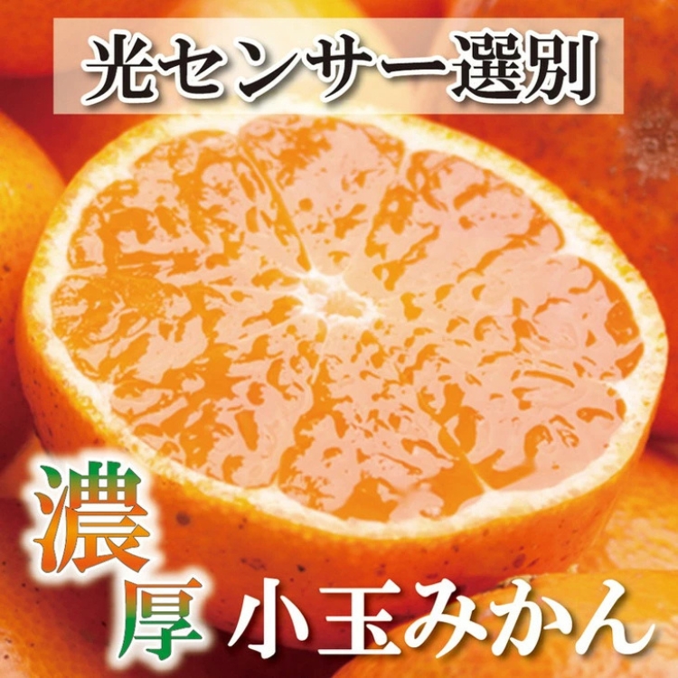 ＜2024年11月より発送＞家庭用 小玉な有田みかん2kg+60g（傷み補償分）【わけあり・訳あり】【光センサー選果】　※北海道、沖縄配送不可　※2024年11月上旬～12月下旬頃に順次発送予定